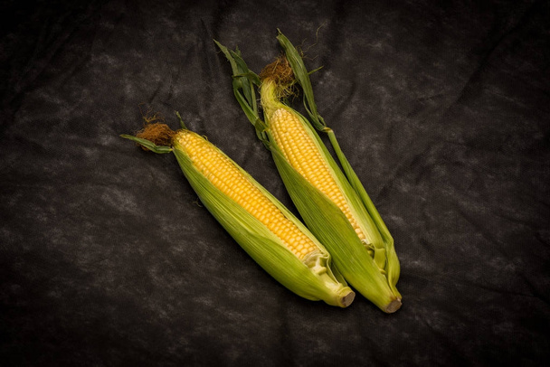 Kukorica a cob sötét háttér - Fotó, kép