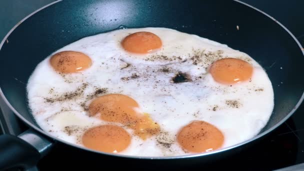 Jajka smażone na patelni na kuchenka elektryczna - Materiał filmowy, wideo