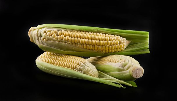 Corn on a black background - Foto, afbeelding