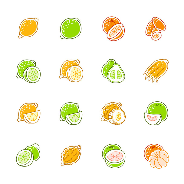 柑橘系の果物アイコン - レモン、オレンジとザボン - ベクター画像