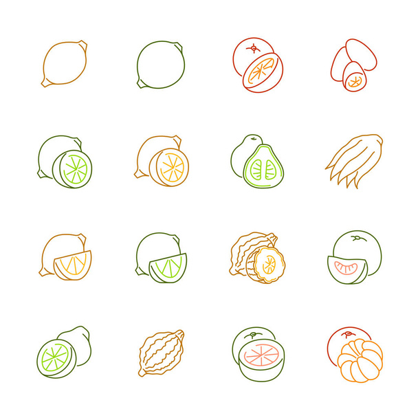 Ikonen der Zitrusfrüchte - Zitrone, Orange und Pomelo - Vektor, Bild