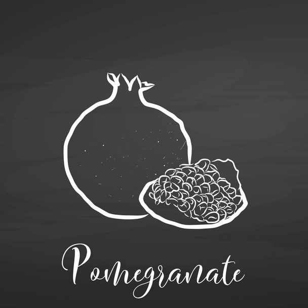 Pomegranate drawing on chalkboard - Vector, Image