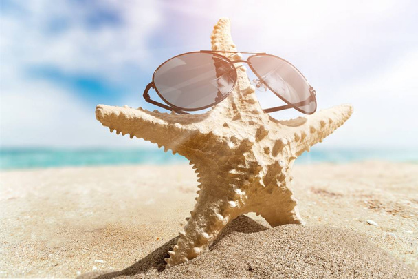 One Starfish in sunglasses on beach sand - Foto, immagini