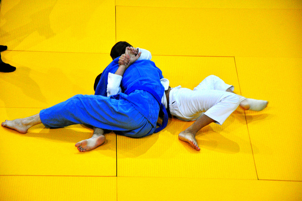 Judo competitions - Photo, Image