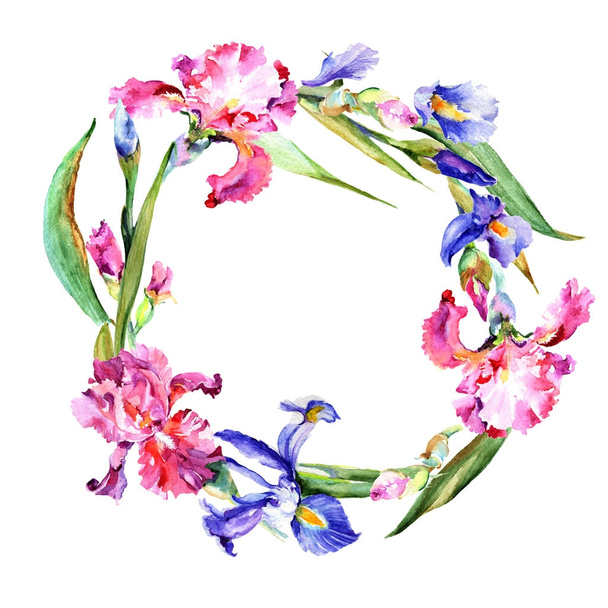 Wildblumen-Iris-Blumenkranz im Aquarell-Stil. - Foto, Bild