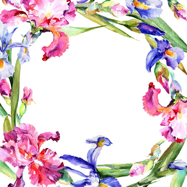 Wildflower irys kwiat rama w stylu przypominającym akwarele. - Zdjęcie, obraz