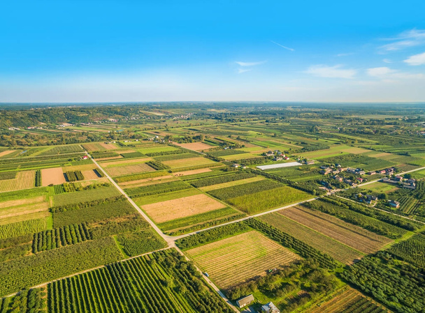 Rural landscape with bird's eye view. Small farmland stretching to the horizon. - Photo, Image