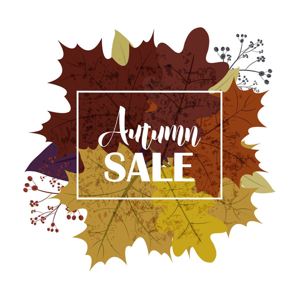 Hello Autumn Sale text poster of September leaf fall or autumnal foliage of maple, oak acorn and elm for shopping sale design or promo poster and frame leaflet or web banner. - Vektori, kuva