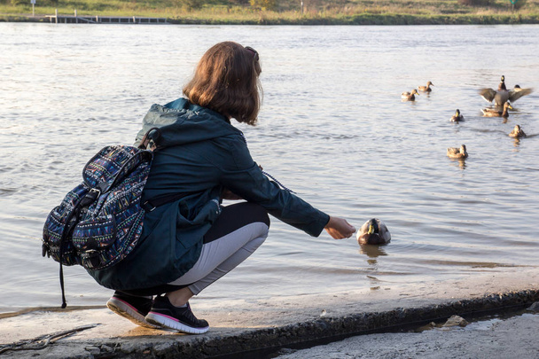 A young girl feeds ducks on a lake - Foto, Imagen