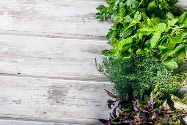 fresh spicy herbs, dill, basil, parsley, mint - Foto, imagen