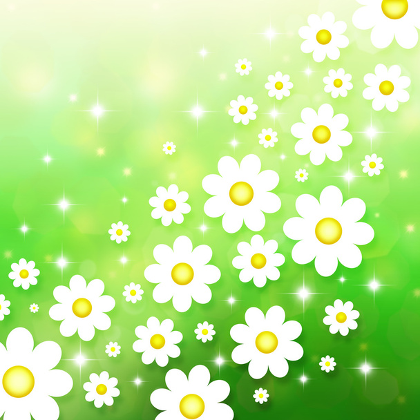 Spring background with chamomiles - Foto, imagen