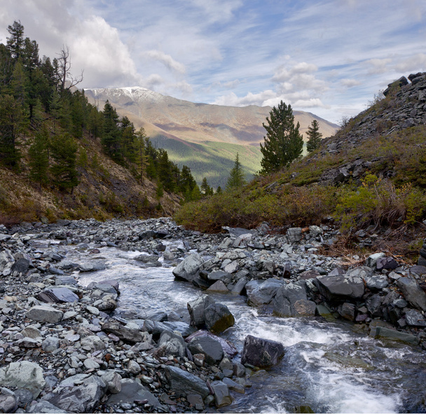 Pequeno riacho nas montanhas de Altai
 - Foto, Imagem