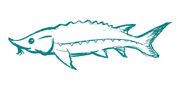 Осетер Прісноводні риби
 - Вектор, зображення