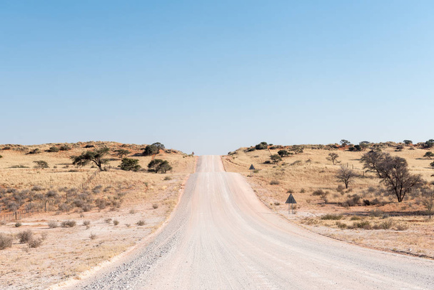 ナミビア南部カラハリ C17 道路横切る生い茂った sandd - 写真・画像