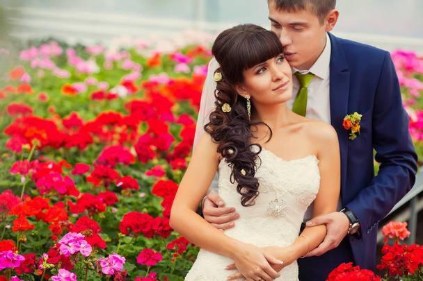 A young couple in love bride and groom, wedding day in summer. E - Foto, imagen