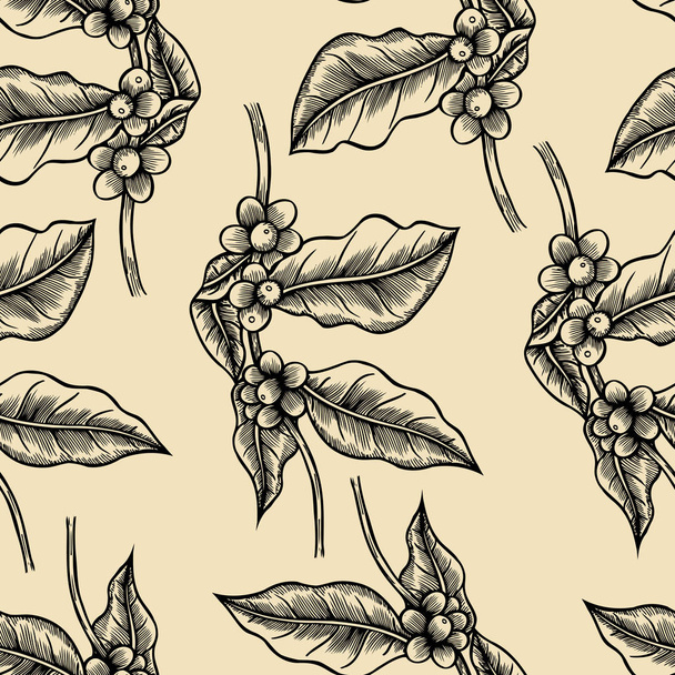 Coffee branches Illustration - Vettoriali, immagini