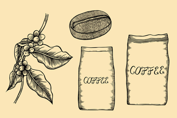 Coffee tree illustration. - Vetor, Imagem