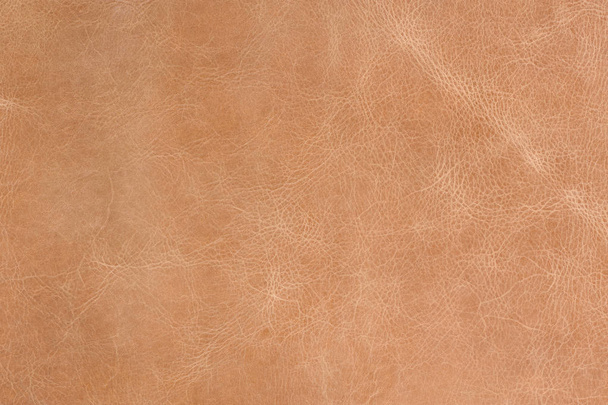 Textura de cuero marrón
 - Foto, imagen
