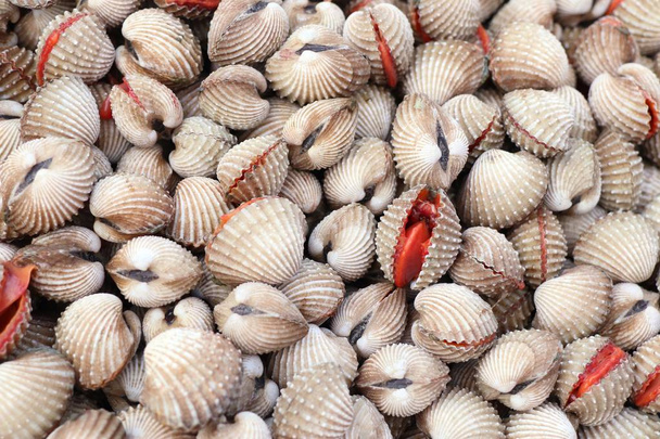 Cockles at street food - Photo, Image
