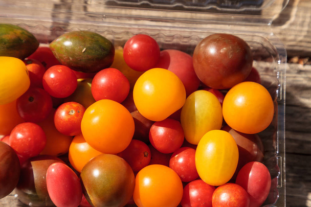 Bright colorful cherry tomatoes in red, yellow, green and purple - Photo, Image