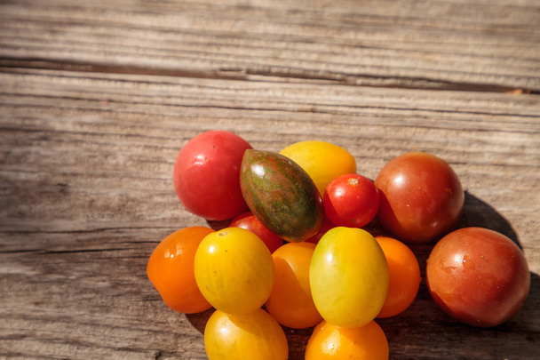Jasne kolorowe Pomidory czereśniowe w czerwony, żółty, zielony i fioletowy - Zdjęcie, obraz