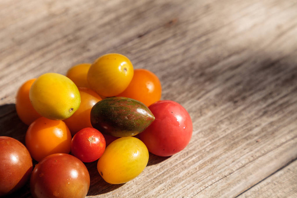 赤、黄色、緑、紫の明るいカラフルなミニトマト - 写真・画像