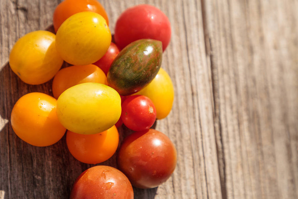 Jasne kolorowe Pomidory czereśniowe w czerwony, żółty, zielony i fioletowy - Zdjęcie, obraz