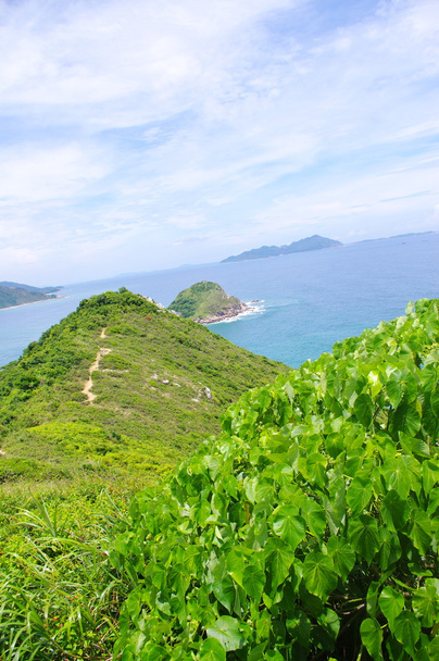 香港の海岸の島 - 写真・画像