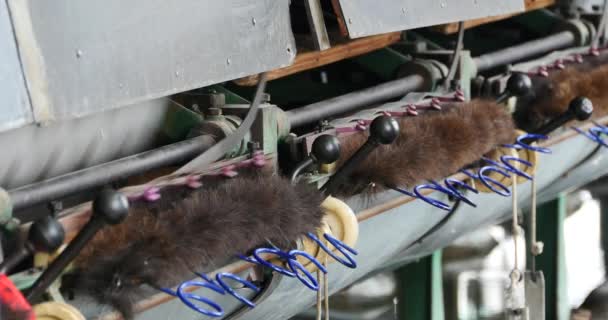 Máquina 4k que produce tejidos en una fábrica de seda, la máquina de hilar recoge la seda
. - Metraje, vídeo