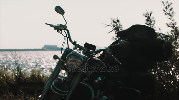 Moto helicóptero negro estacionado en arbustos en la orilla del mar
 - Metraje, vídeo