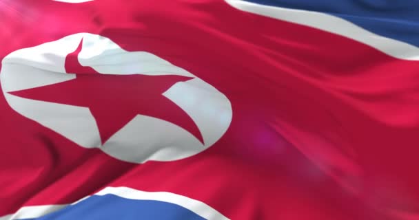 Σημαία της Βόρειας Κορέας έγνεψε σε άνεμο, βρόχου - Πλάνα, βίντεο