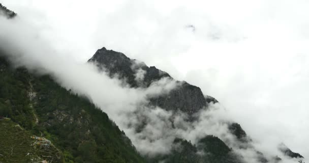 4k Zeitraffer Wolkendecke Berg am Morgen, Nebelbäume, Bomi County, Tibet. - Filmmaterial, Video
