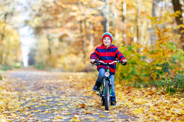 Petit garçon en vêtements chauds colorés dans le parc forestier d'automne conduisant un vélo - Photo, image
