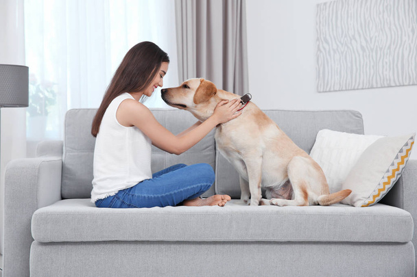 Young woman resting with yellow retriever at home - Photo, Image
