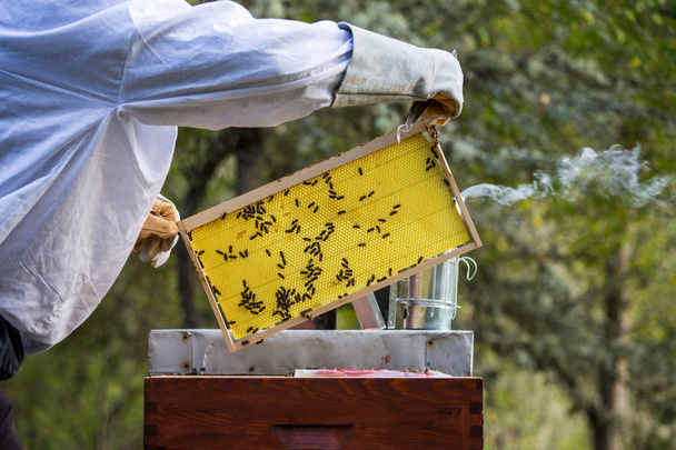 Houten korf voor bijen, bijenteelt, honing, gezondheid, gezond leven - Foto, afbeelding