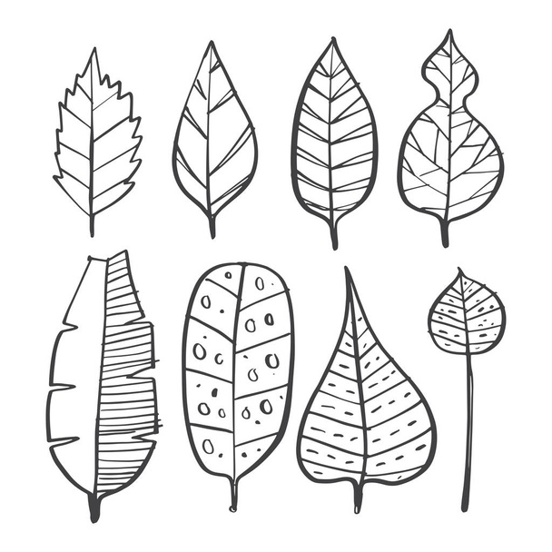 Hand drawn Various kinds of leaves set, vector illustration dood - Vetor, Imagem