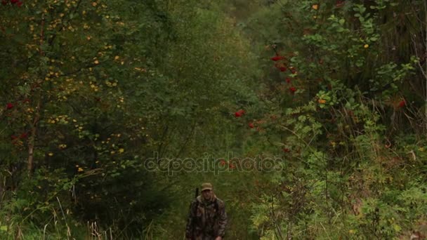 Male hunter walking through forest  - Felvétel, videó