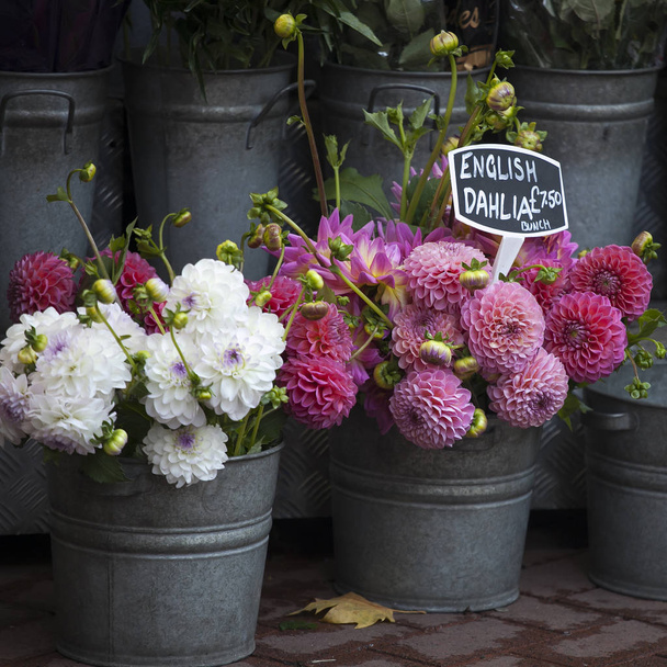 the English dahlias for sale in a flower stall near the metro - Foto, imagen