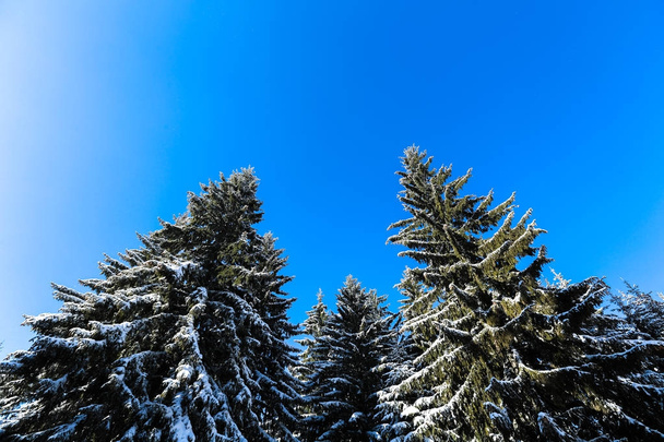 Zimní den na horách - Fotografie, Obrázek