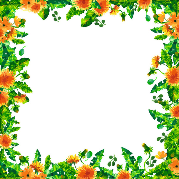 Acuarela Flores de diente de león de primavera, flores marco cuadrado isola
 - Vector, Imagen