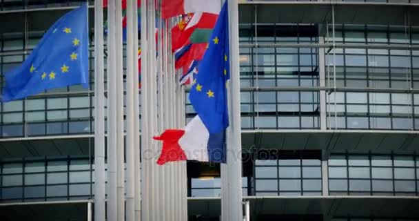 Флаги на полумачте перед Европейским парламентом
  - Кадры, видео