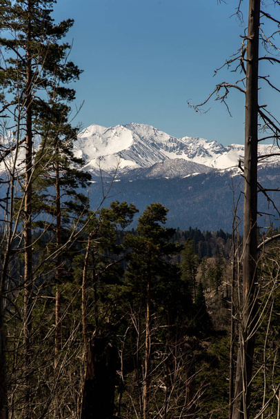 The mountain range of the Big Thach natural park - Φωτογραφία, εικόνα