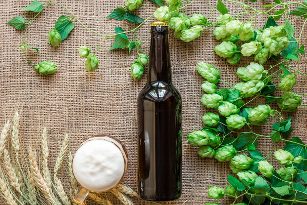 Cerveza de botella y vidrio con ingredientes de elaboración de cerveza. Hop flor con trigo. Vista superior
. - Foto, Imagen