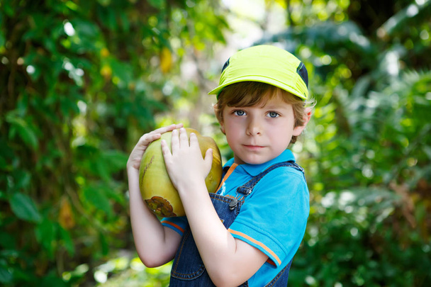 Happy funny little preschool kid boy holding huge coconut. - Photo, Image