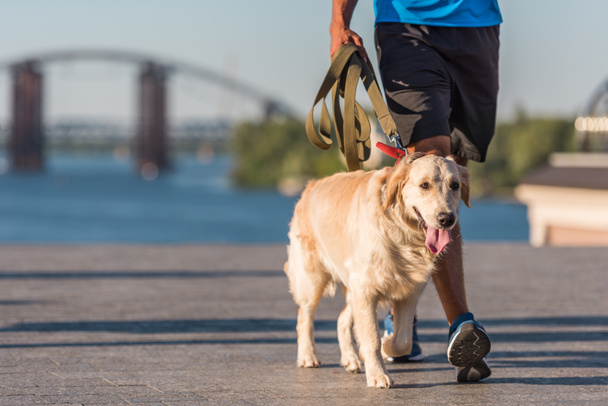 sportsman walking with dog - Photo, Image