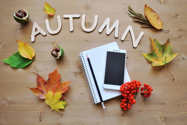 autumn composition background - Φωτογραφία, εικόνα