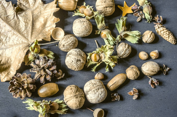 Autumn harvest of hazelnuts with dry peduncle, pine cones and acorns  - Fotó, kép
