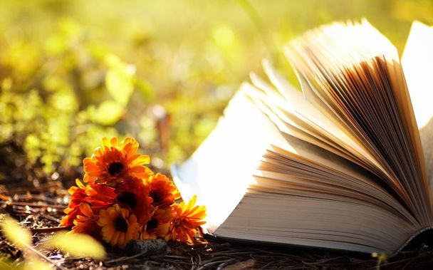 geopende boek in gele herfst - Foto, afbeelding