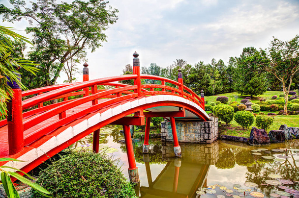 Japán kert híd Szingapúrban - Fotó, kép