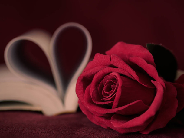 Retro style for red rose with  pages of a book curved into a heart shape. - Photo, Image